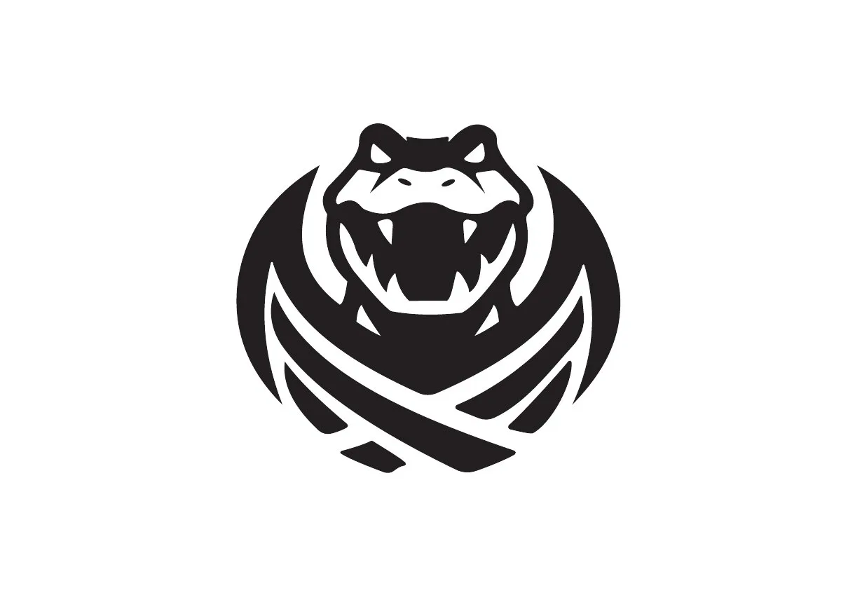 Null Caiman — página 35